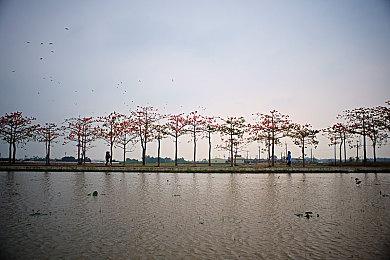 以防你不知道！ 《丝之歌》最难挑战跳蚤溜溜难度降低